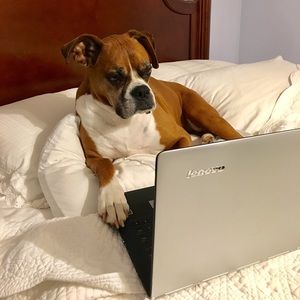 Meet your Posher, Ann